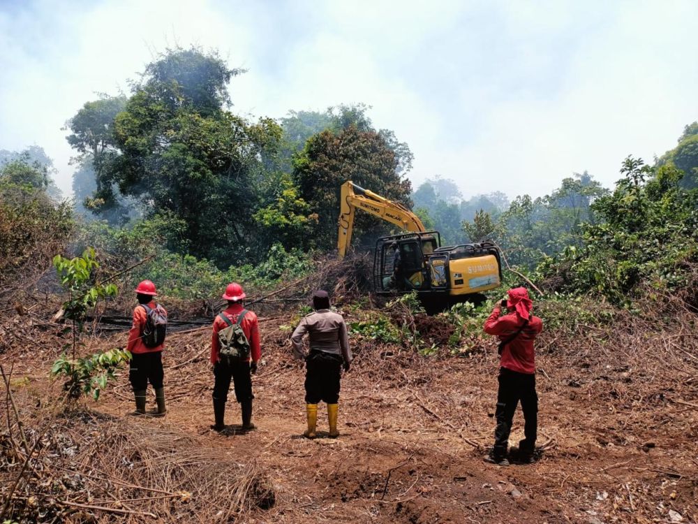 Curah Hujan Merata di Riau, Kebakaran Hutan Serta Lahan Berhasil Dipadamkan