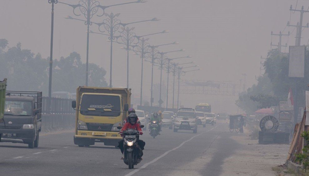 Kualitas Udara di Pekanbaru Memburuk, Warga Diimbau Kurangi Aktivitas Luar Rumah Hingga Gunakan Masker