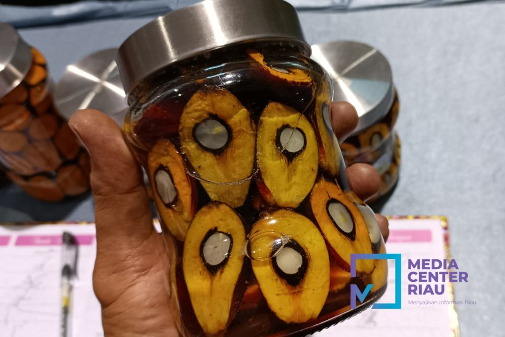 Harga CPO Naik, Kelapa Sawit Mitra Plasma Minggu Ini Dihargai Rp3.385 per Kg